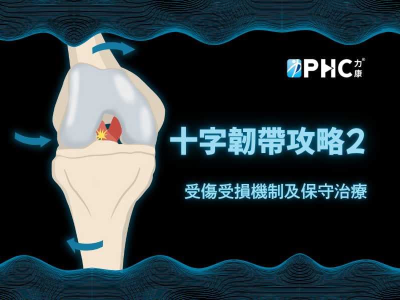 十字韌帶攻略2-十字韌帶受傷受損機制及保守治療
