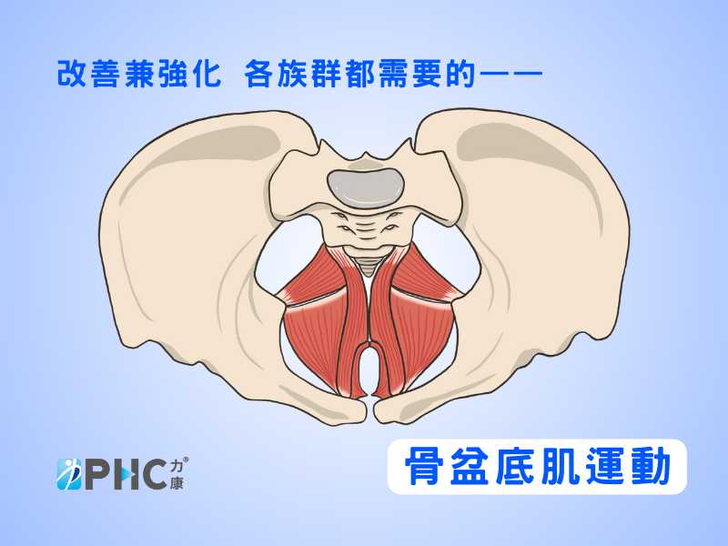 改善兼強化 各族群都需要的骨盤底肌運動