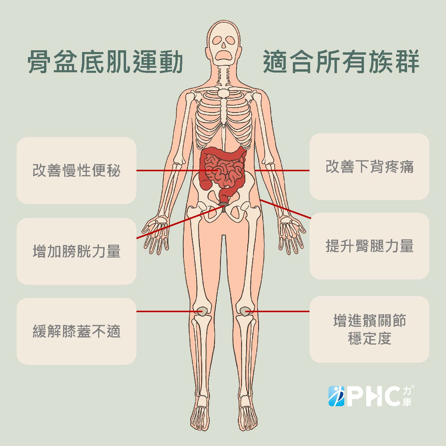 骨盆底肌_頁面_12.jpg