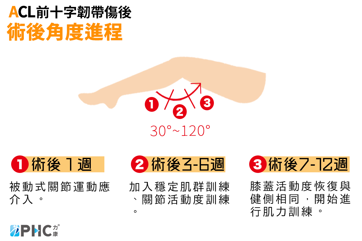 前十字韌帶受傷恢復計畫 復健 運動治療 力康運動醫學機構